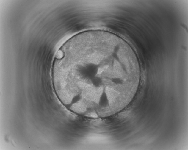 X0000103900959200810171611