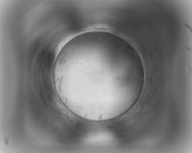 X0000103900960200810171611