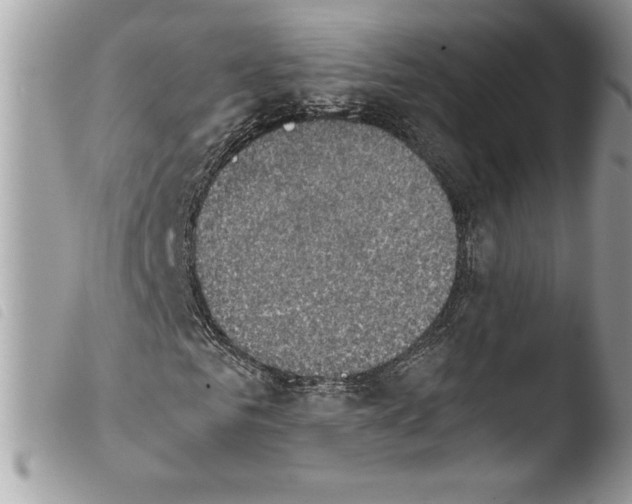 X0000103900961200810171610