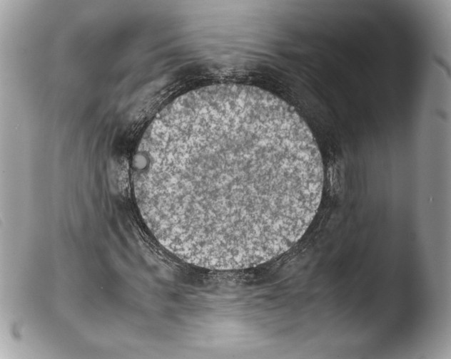 X0000103900963200810171610