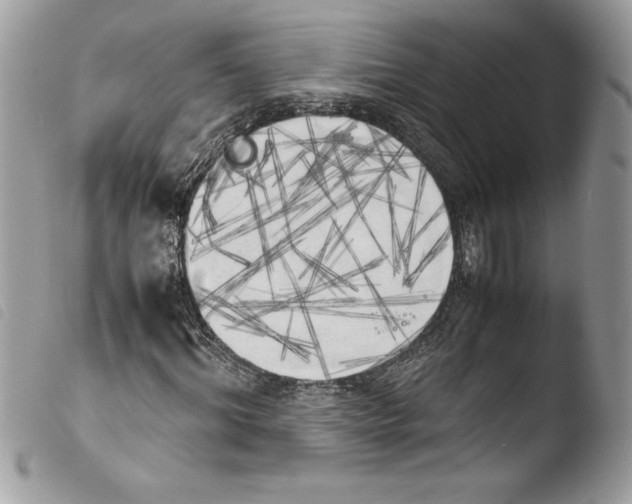 X0000103900964200810171610