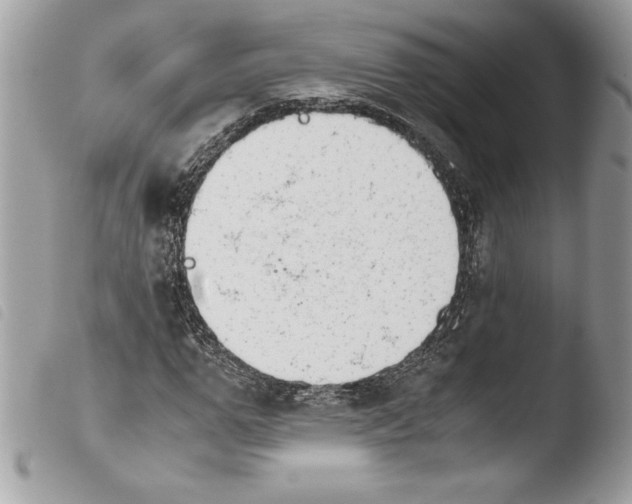 X0000103900967200810171610