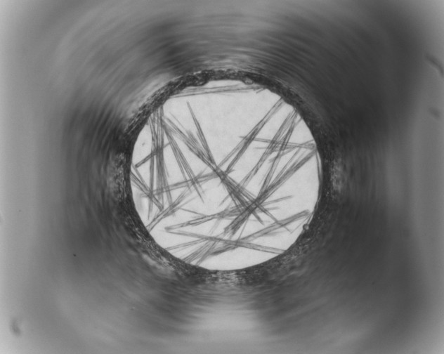 X0000103900968200810171610