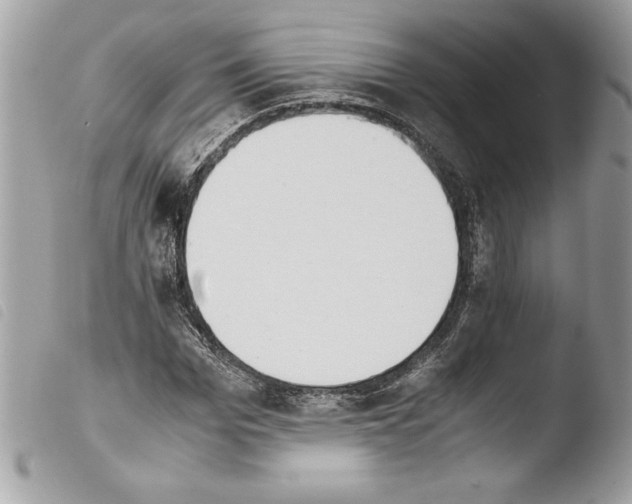 X0000103900969200810171610