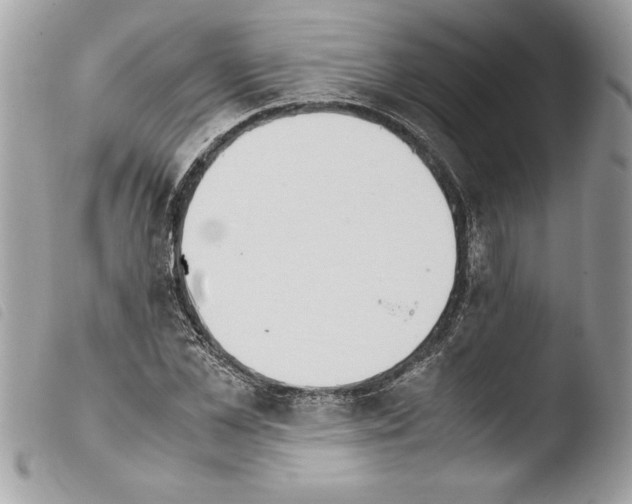 X0000103900973200810171610