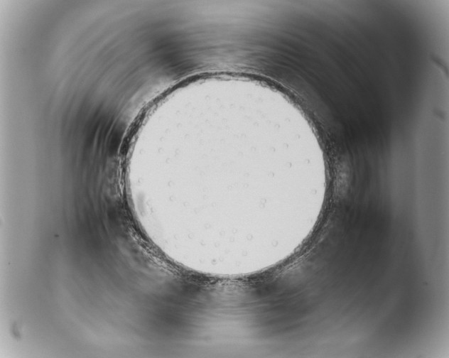 X0000103900974200810171610