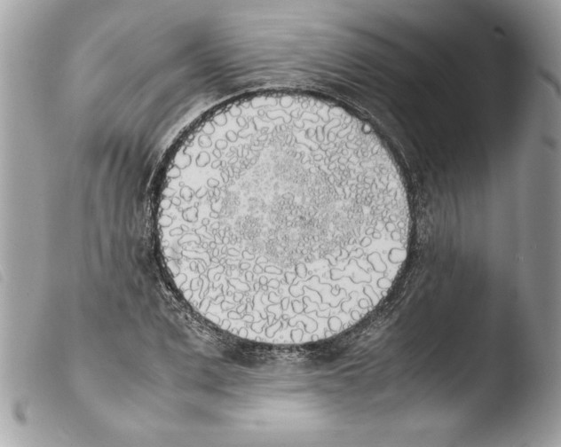 X0000103900975200810171610