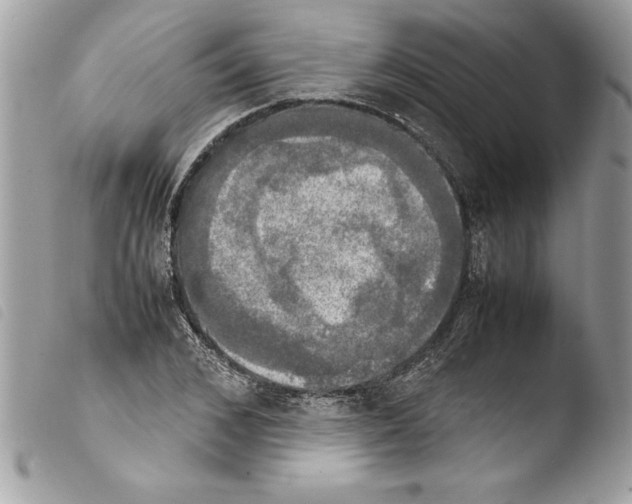 X0000103900976200810171610