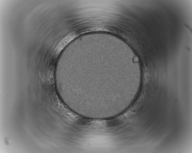 X0000103900977200810171610