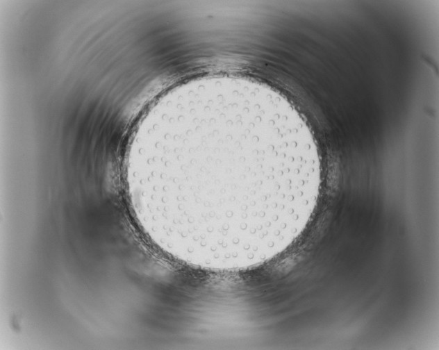 X0000103900978200810171610