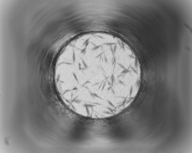 X0000103900979200810171610