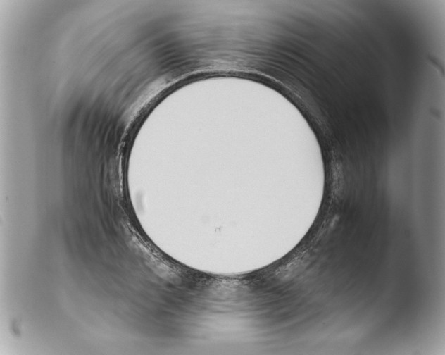 X0000103900982200810171610