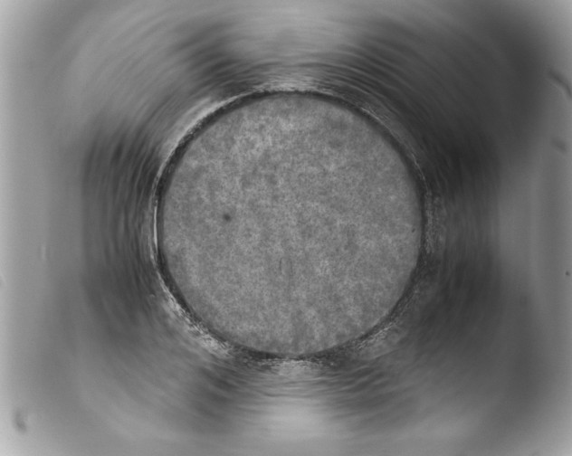 X0000103900984200810171610