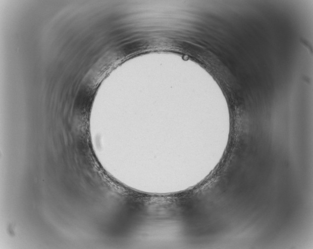 X0000103900985200810171610