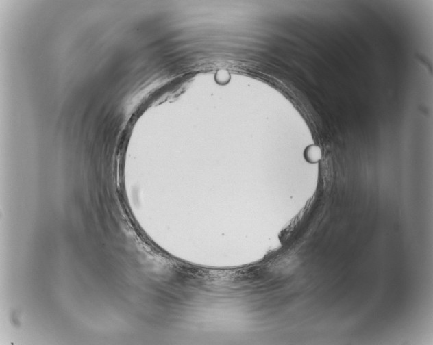 X0000103900987200810171610