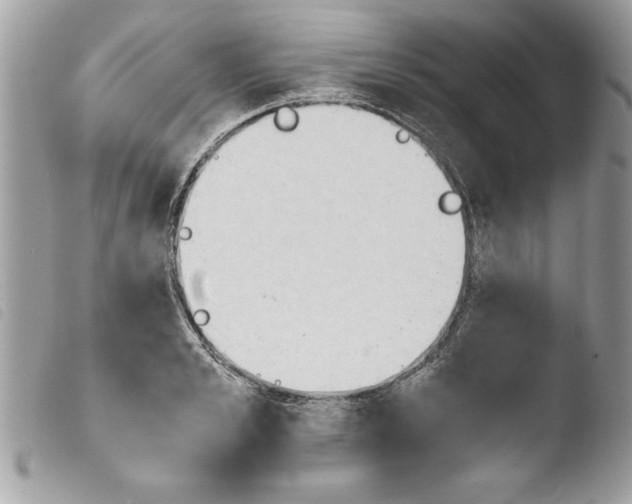 X0000103900989200810171609