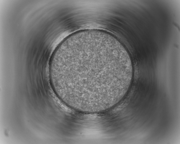 X0000103900990200810171609