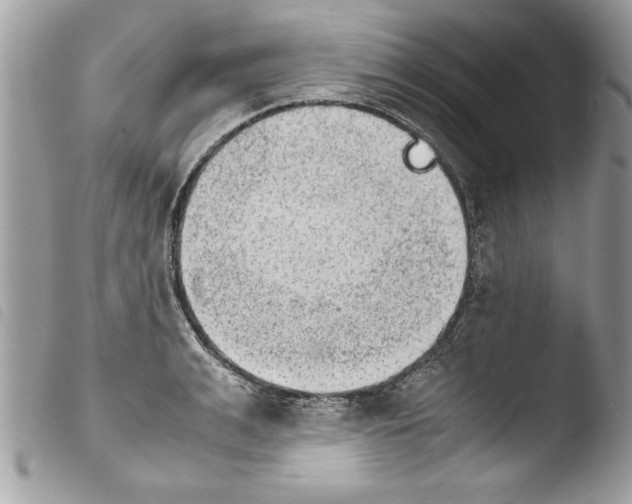 X0000103900991200810171609