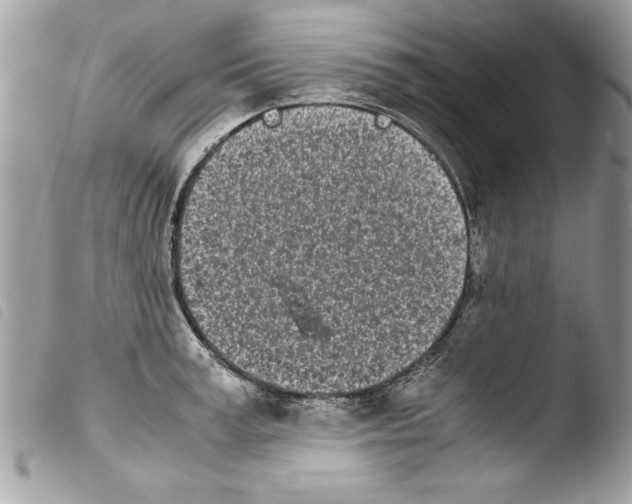 X0000103900995200810171609