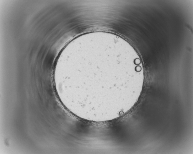 X0000103900997200810171609