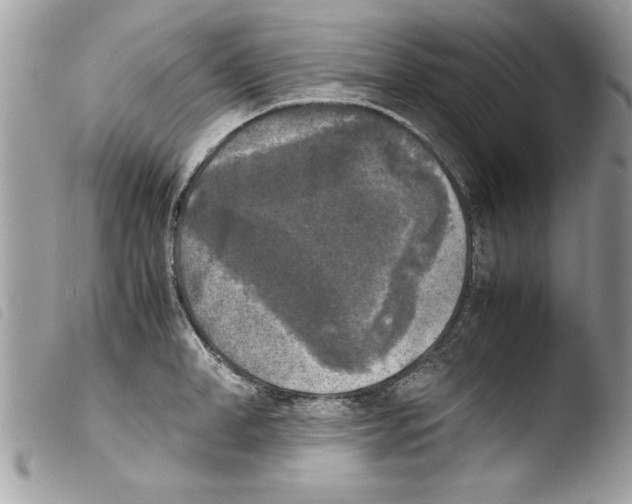 X0000103900998200810171609