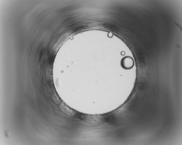 X0000103901001200810171609