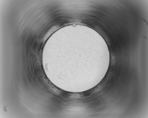 X0000103901002200810171609