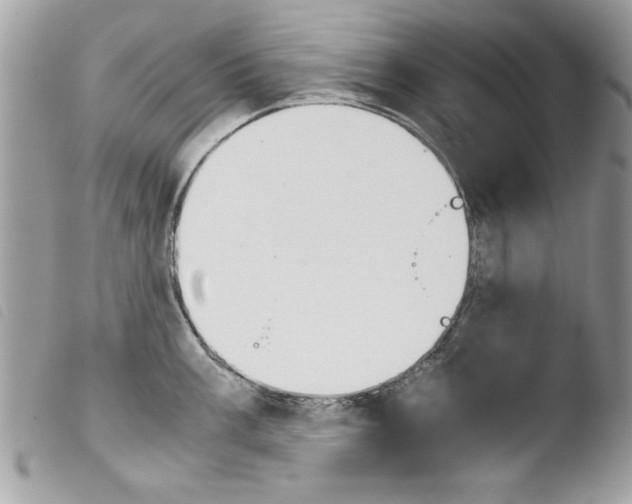 X0000103901003200810171609