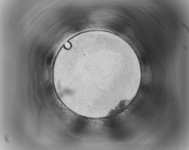 X0000103901004200810171609