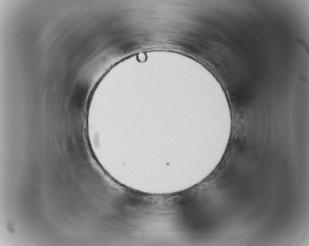 X0000103901005200810171609