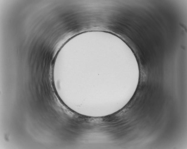 X0000103901006200810171609