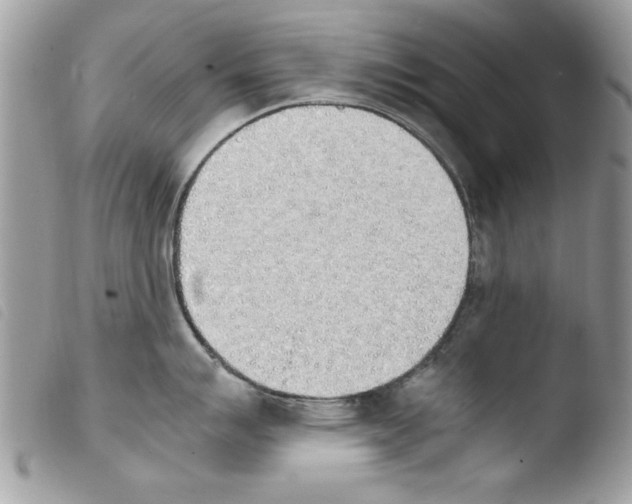 X0000103901007200810171609