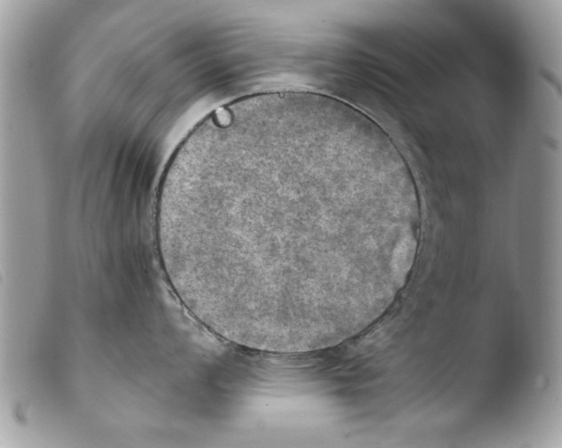 X0000103901008200810171609