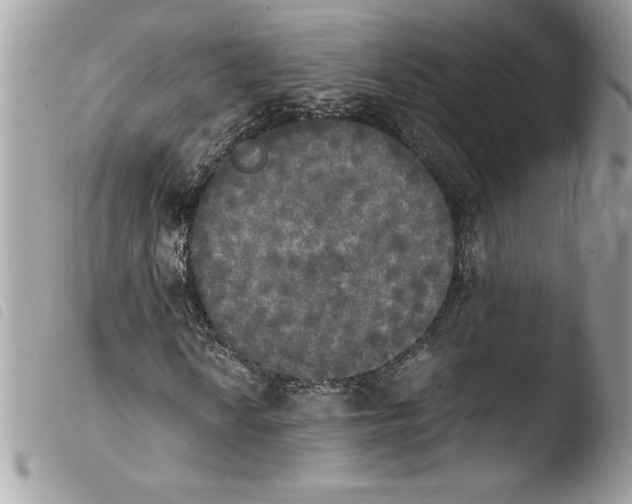 X0000103901010200810171609