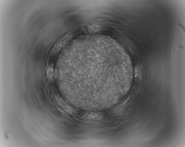 X0000103901011200810171609