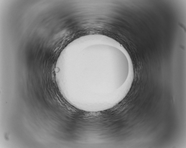 X0000103901012200810171609