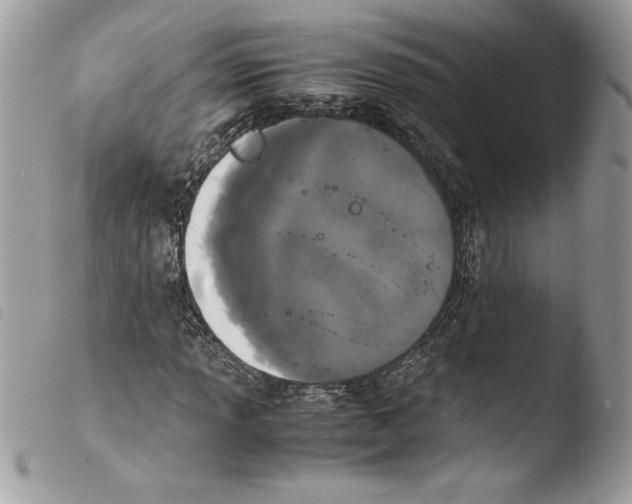 X0000103901013200810171609