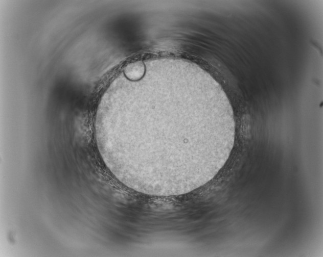 X0000103901015200810171609