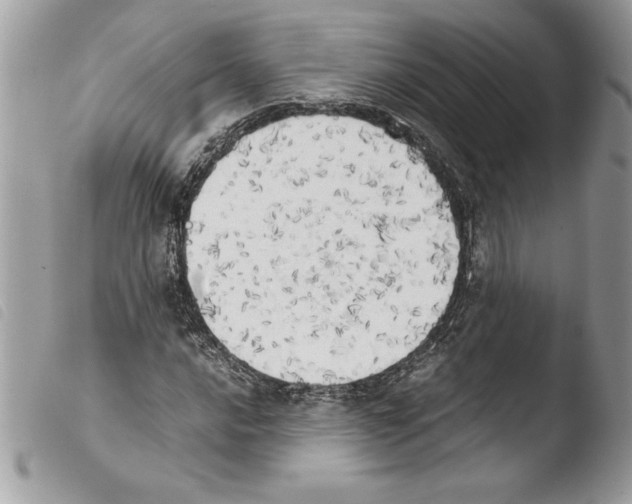 X0000103901016200810171609