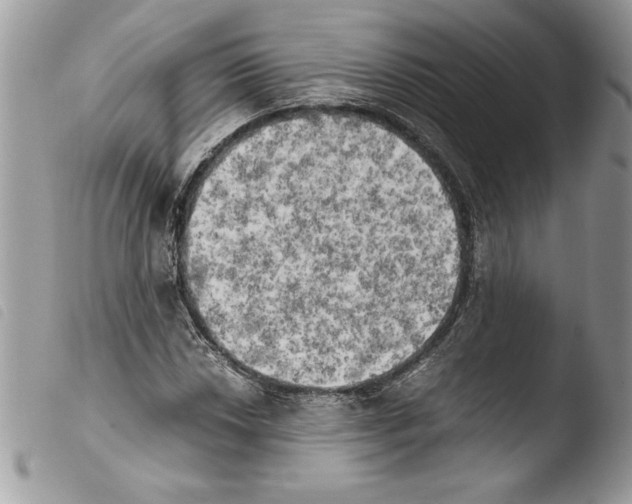 X0000103901018200810171609