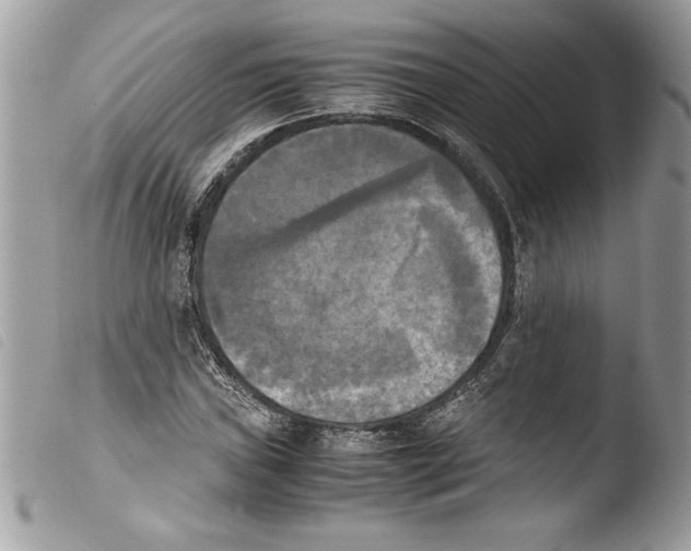 X0000103901019200810171609