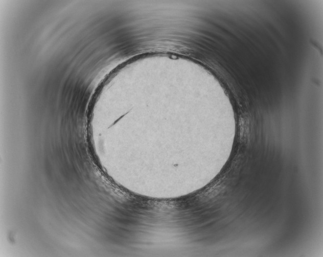 X0000103901020200810171609