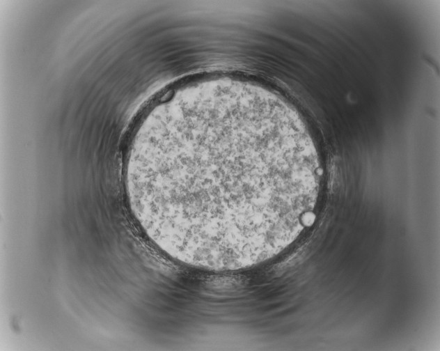 X0000103901021200810171609