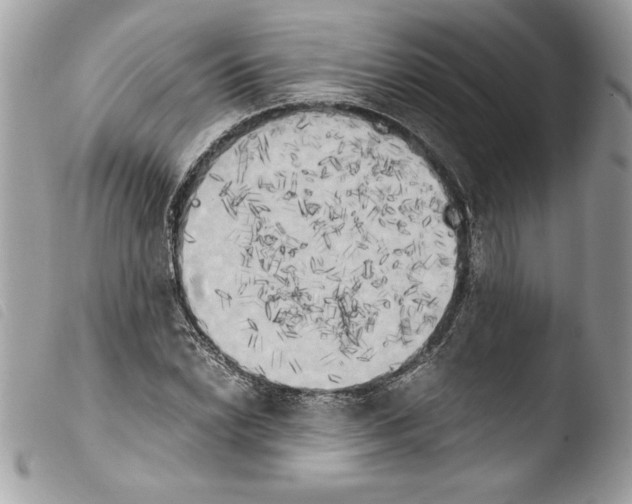 X0000103901022200810171609