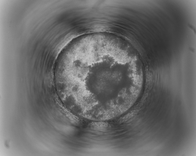 X0000103901023200810171609