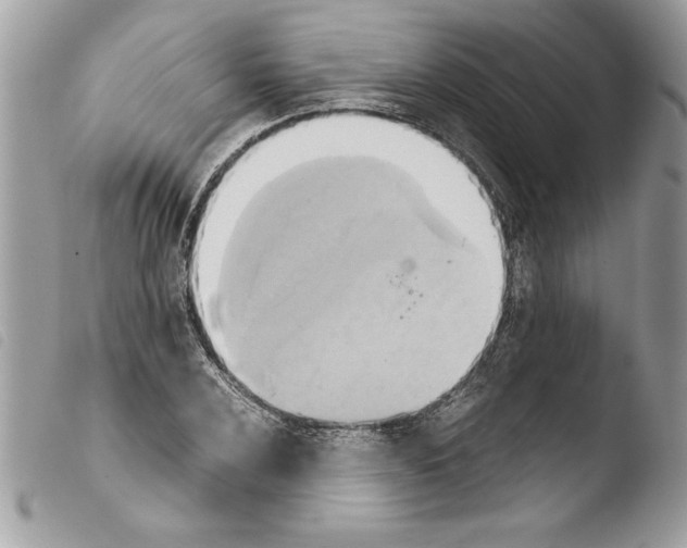 X0000103901024200810171609