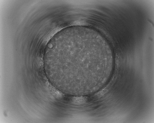 X0000103901025200810171609