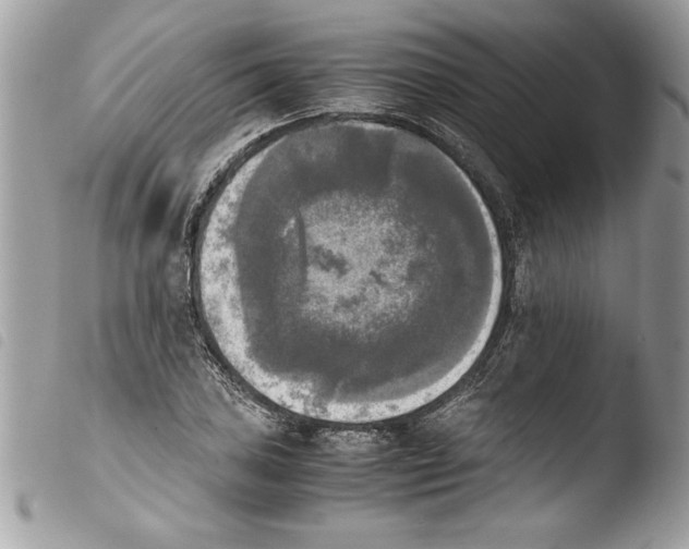 X0000103901027200810171609