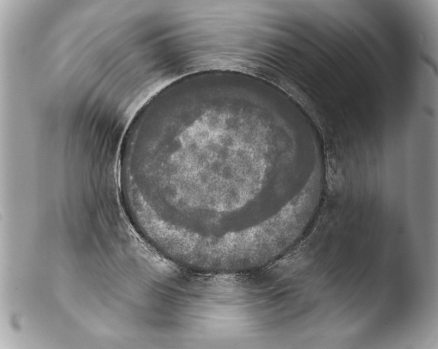 X0000103901028200810171609