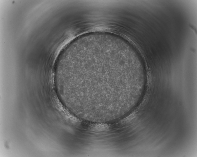 X0000103901029200810171609